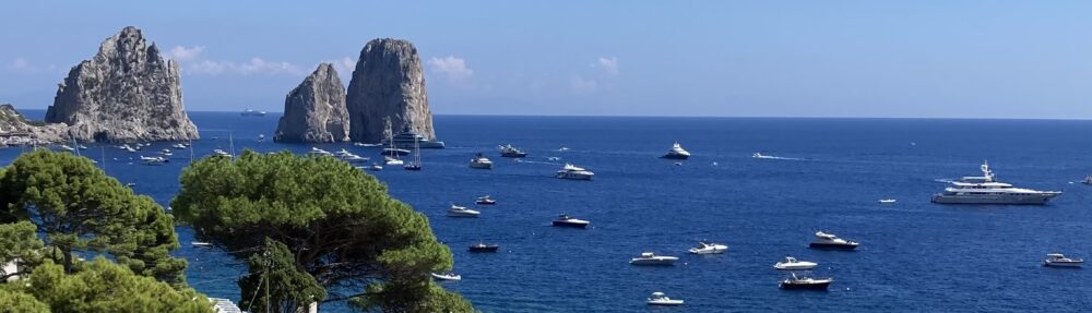 Evviva la lingua – Viva la lengua