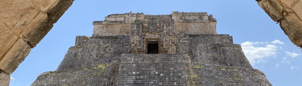 Evviva la lingua – Viva la lengua